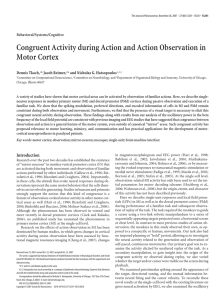 Congruent Activity during Action and Action Observation in Motor