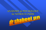 anatomy and physiology of nitrous oxide