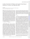 Cochlear Outer-Hair-Cell Efferents and Complex-Sound