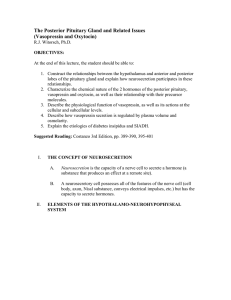 The Posterior Pituitary Gland and Related Issues