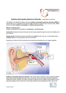 Auditory Neuropathy Spectrum Disorder