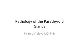 Pathology of the Parathyroid Glands
