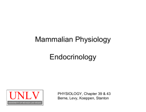 Mammalian Physiology Organization of the Endocrine System
