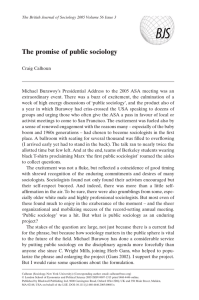 The promise of public sociology