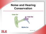 Noise and Hearing Conservation English