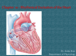 The Sinus Node as the Pacemaker of the Heart