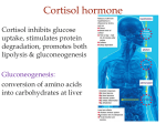 Principles of Endocrinology - The Central Endocrine Glands