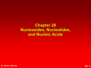 Nucleosides, Nucleotides,Nucleic Acids