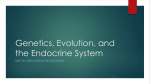 Genetics, Evolution, and the Endocrine System