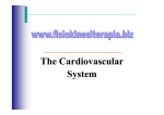 The Cardiovascular System