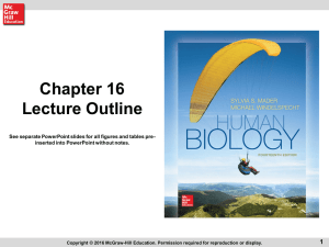 chapt16_HumanBiology14e_lecture