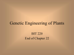 Genetic Engineering of Plants