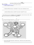 File - Mr Gariglio Science