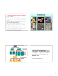 Nonrenewable Mineral Resources