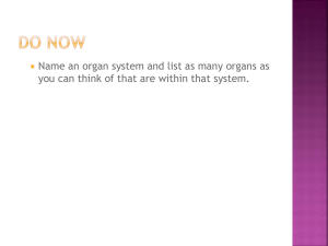 Organ Systems - Montville.net