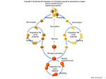 a2 - Molecular and Cell Biology