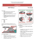Study Guide pdf