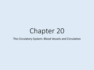 Chapter 20 - Palm Beach State College
