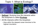 Topic 1: What is Ecology?
