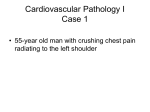 Cardiovascular Pathology I Case 1