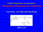 Protein degradation and regulation