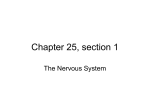 Chapter 2, section 2