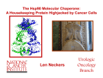 a housekeeping protein highjacked by cancer cells