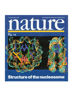 Crystal structure of the nucleosome core particle at 2.8 Å