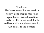 The cardiovascular system includes the heart, blood vessels, blood