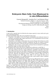 Embryonic Stem Cells: from Blastocyst to in vitro Differentiation