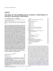 The role of the cerebellum in classical conditioning of