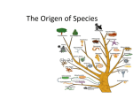 Ch 24 The Origen of Species3 4