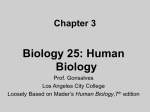 Chapter 3 - Los Angeles City College