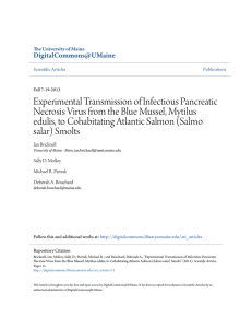 Experimental Transmission of Infectious Pancreatic Necrosis Virus