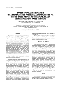 effect of xylazine-ketamine on arterial blood pressure, arterial blood