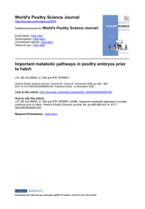 Important metabolic pathways in poultry embryos prior to hatch