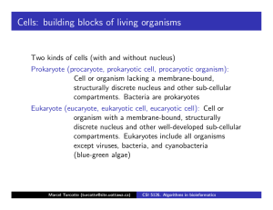 Cells: building blocks of living organisms