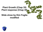 Plant growth/responses