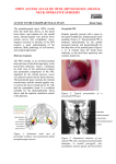 Access to Parapharyngeal Space - Vula