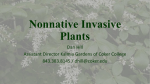 Nonnative Invasive Plants