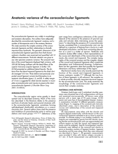 Anatomic variance of the coracoclavicular ligaments