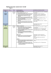 Medium-term plan: spring term 1st half Year 4