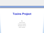 fusarium_toxins
