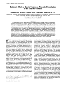 Bottleneck Effect on Genetic Variance: A Theoretical