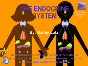 You have completed this lesson regarding the Endocrine System of