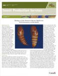 Biology of the Western Spruce Budworm