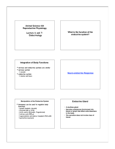 PPT slides handout as PDF 08