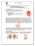 Unit 2 - Edquest