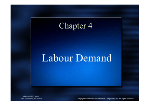Labour Demand