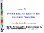 Protein structure hierarchical levels
